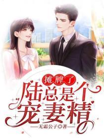 摊牌了,陆总是个宠妻精